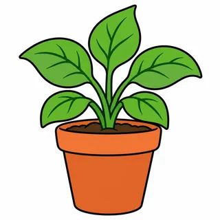 Picture of a plant